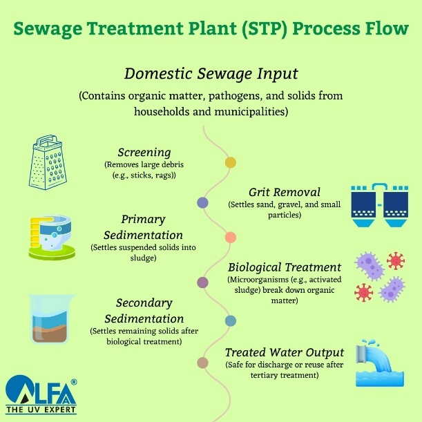 STP Process Flow